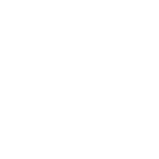 Icelandic Viking Head